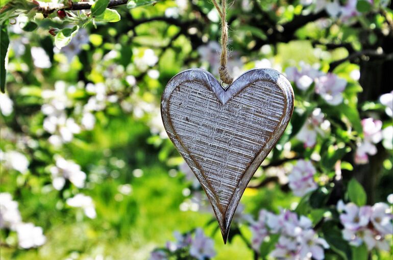 heart-3354984_1920