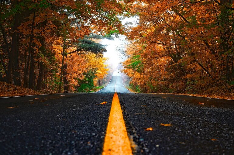 autumn-1758194_1920