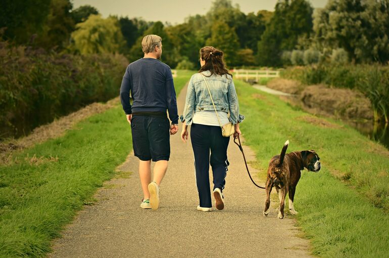 couple-3687274_1920